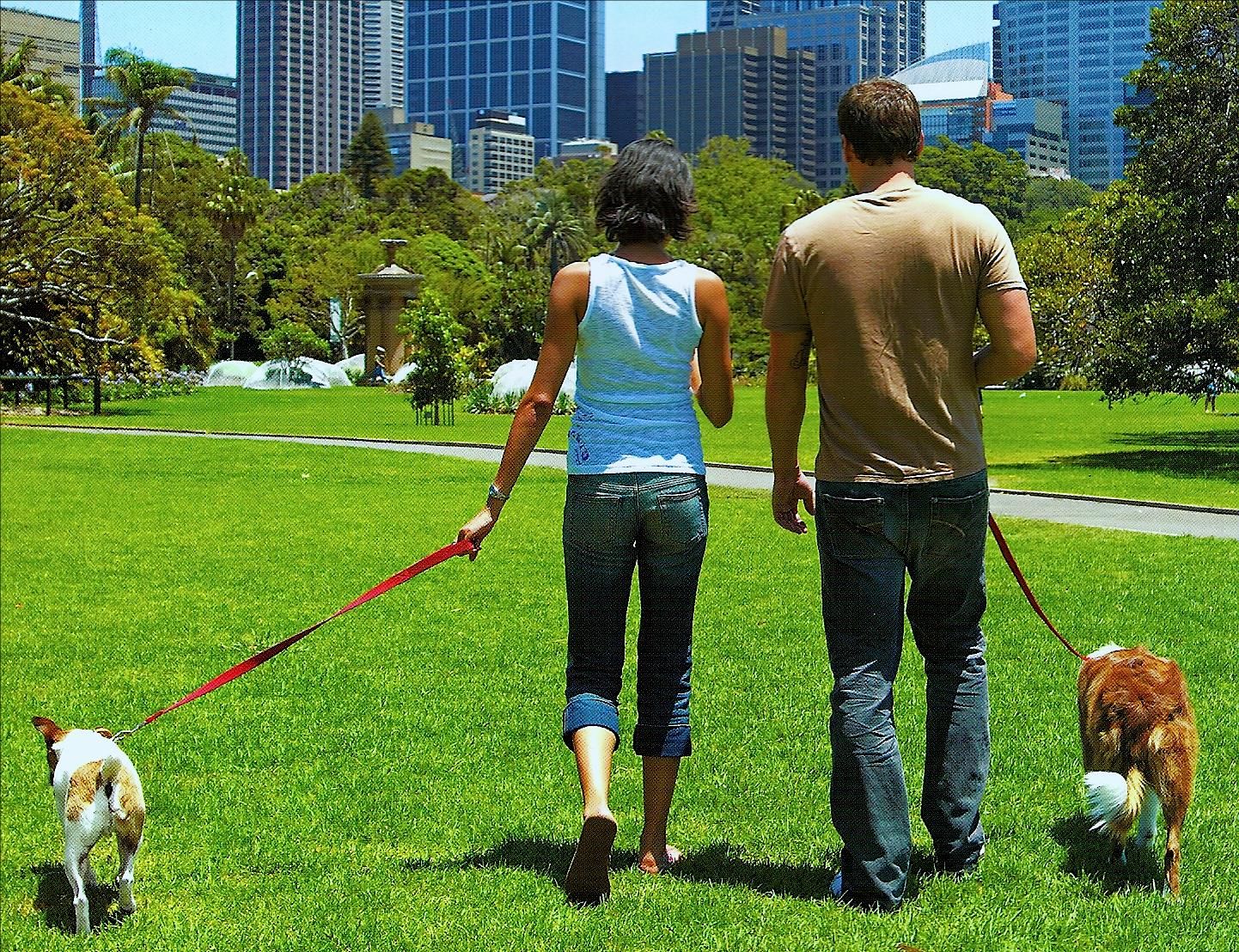 Couples-walking-with-dog1